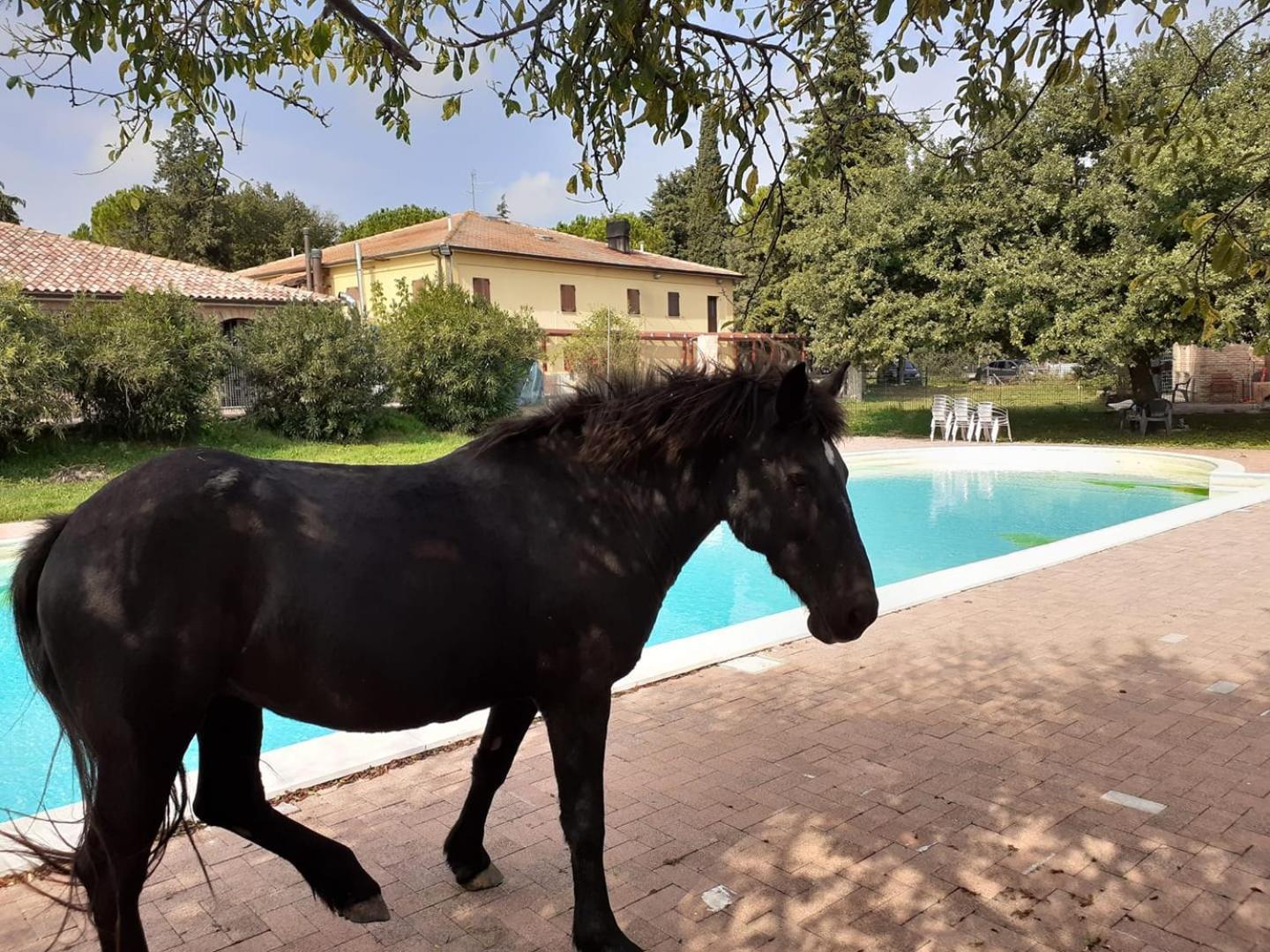 Bed and Breakfast Casale Del Gufo Chiaravalle Esterno foto