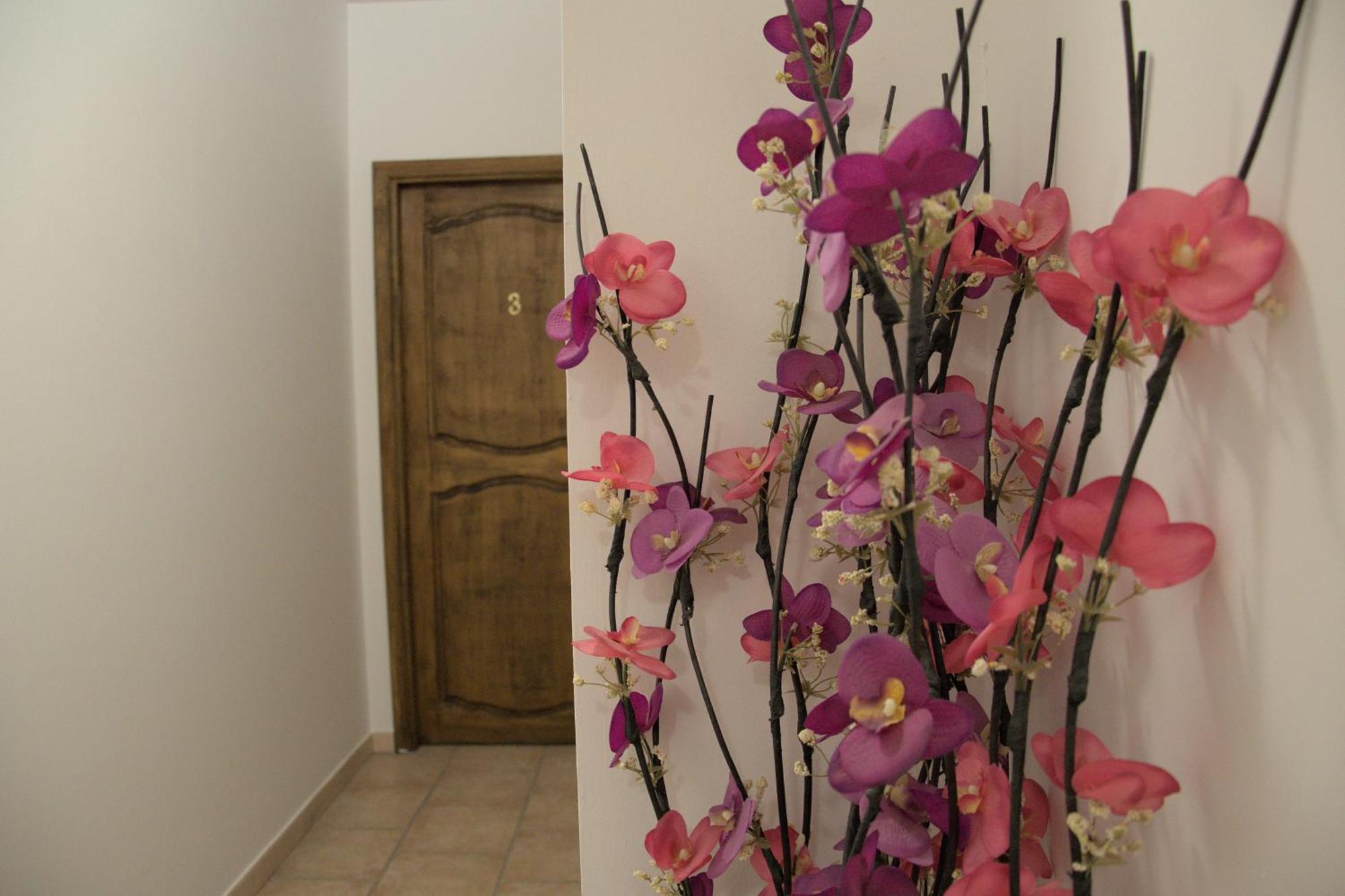 Bed and Breakfast Casale Del Gufo Chiaravalle Esterno foto