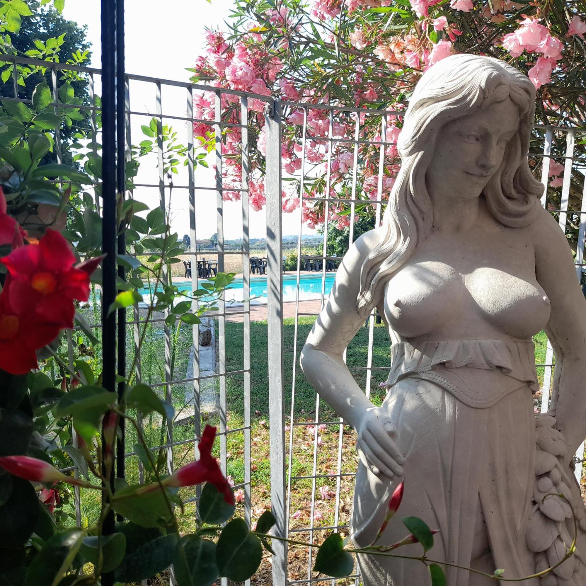 Bed and Breakfast Casale Del Gufo Chiaravalle Esterno foto